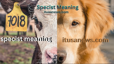Specist Meaning