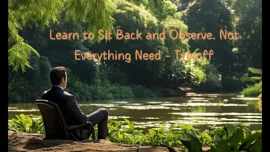 Learn To Sit Back And Observe. Not Everything Need – Tymoff